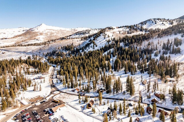 8330 S Brighton Loop Rd, Brighton, UT 84121
