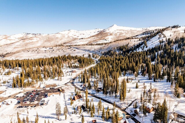 8330 S Brighton Loop Rd, Brighton, UT 84121