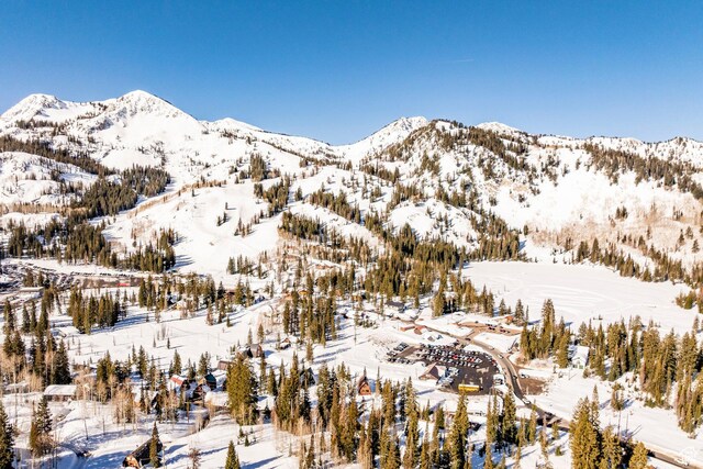 8330 S Brighton Loop Rd, Brighton, UT 84121