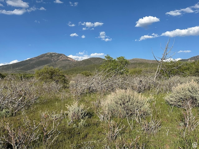 1700 E 200 S, Fillmore, UT 84631