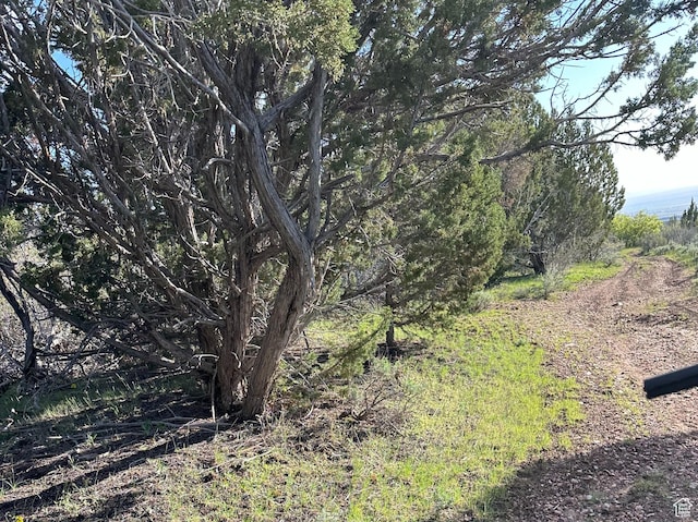1700 E 200 S, Fillmore, UT 84631