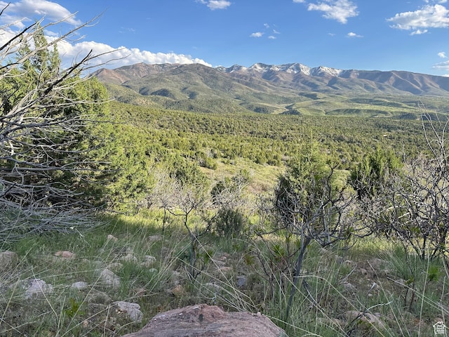 1700 E 200 S, Fillmore, UT 84631