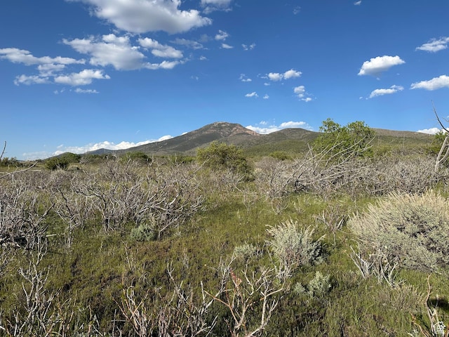 1700 E 200 S, Fillmore, UT 84631