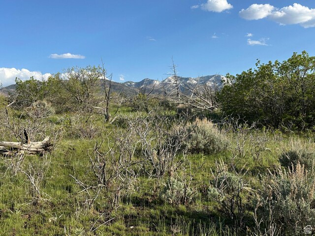 1700 E 200 S, Fillmore, UT 84631