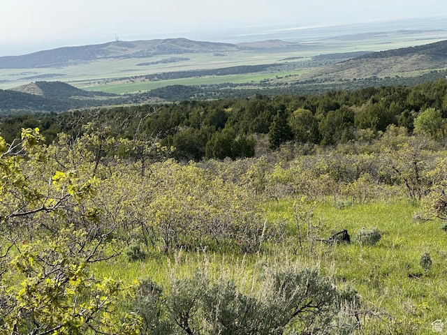 1700 E 200 S, Fillmore, UT 84631