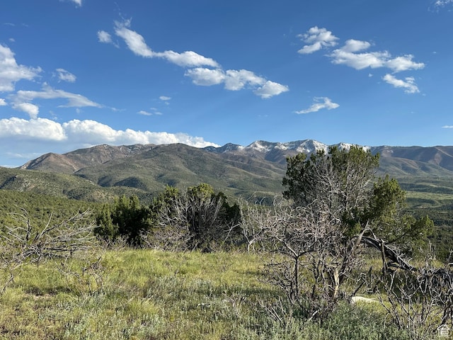 1700 E 200 S, Fillmore, UT 84631