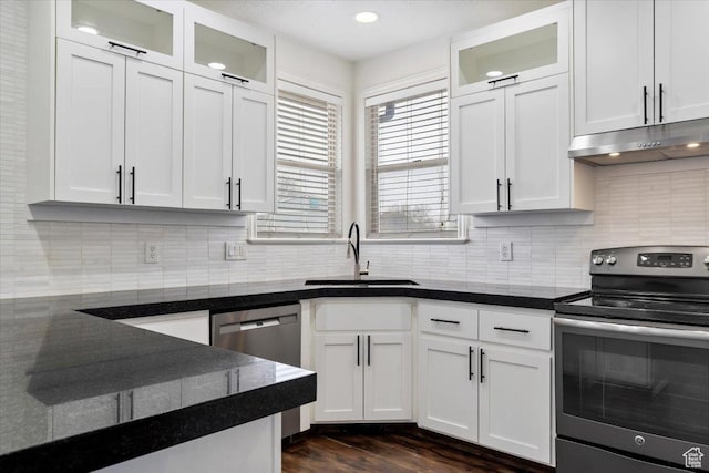 kitchen with backsplash, a sink, white cabinetry, under cabinet range hood, and stainless steel appliances