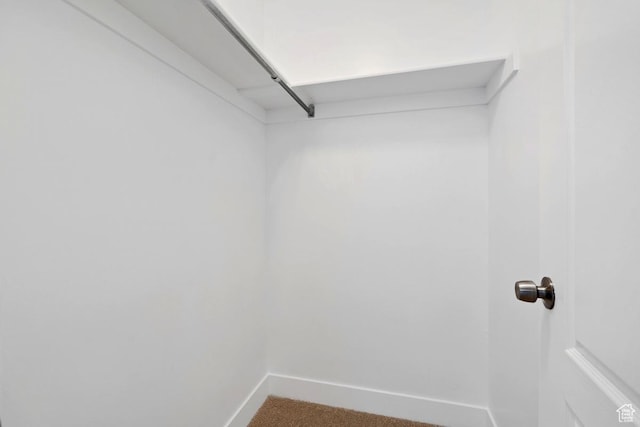 walk in closet featuring carpet floors