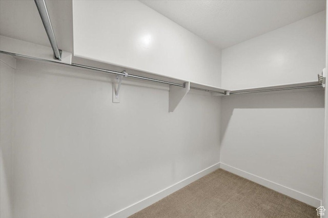 3150 Fuchsia Dr, St George, UT 84790 - spacious closet with carpet floors