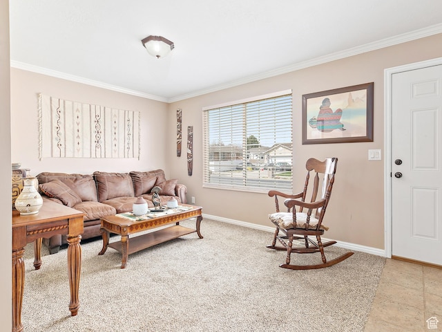 living area featuring ornamental molding and baseboards
