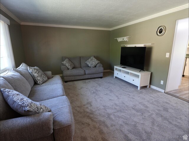 living area with crown molding, baseboards, carpet flooring, and a textured ceiling