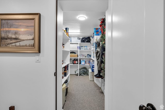 2119 N 520 W, Centerville, UT 84014 - spacious closet with carpet floors