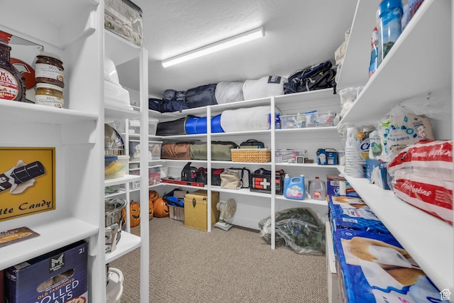 2119 N 520 W, Centerville, UT 84014 - view of storage area