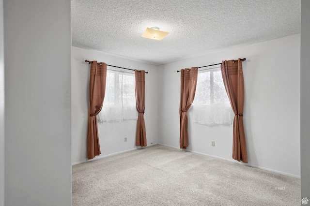 67 W 300 S, Kanab, UT 84741 - empty room with plenty of natural light, baseboards, carpet flooring, and a textured ceiling