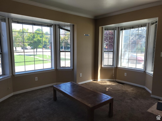 949 N University Ave Unit 19, Provo, UT 84604 - interior space with baseboards, crown molding, carpet floors, and a healthy amount of sunlight