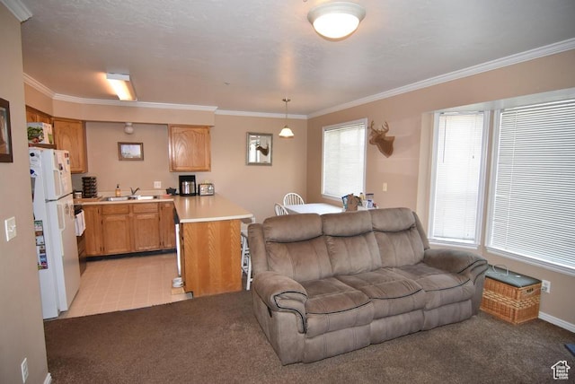 949 N University Ave Unit 19, Provo, UT 84604 - living room with light colored carpet, crown molding, and light tile patterned floors