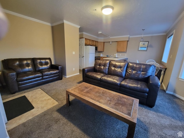 949 N University Ave Unit 19, Provo, UT 84604 - living area featuring baseboards, carpet floors, and ornamental molding