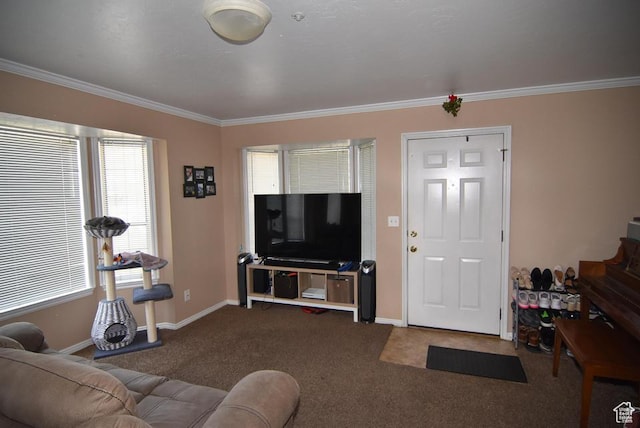 949 N University Ave Unit 19, Provo, UT 84604 - living room featuring baseboards, carpet floors, and ornamental molding