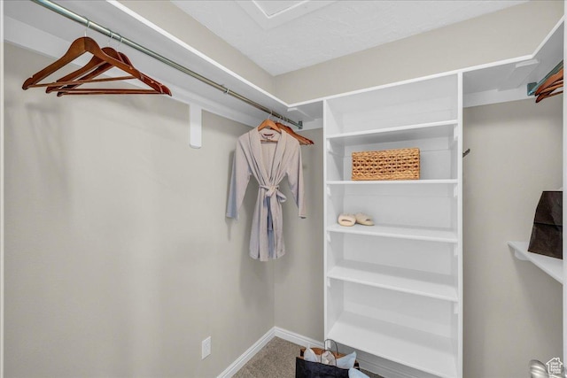 2367 N Monarch Cir E, Cedar City, UT 84721 - spacious closet with carpet