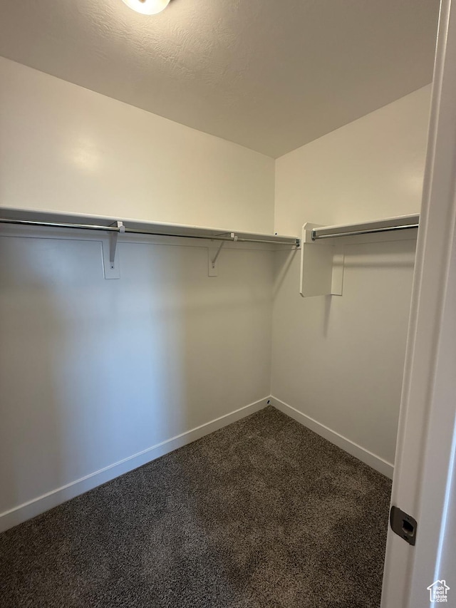 spacious closet with dark carpet