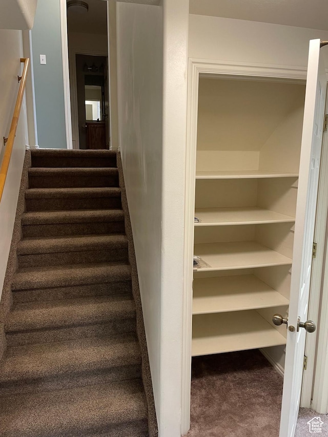 567 S Hazel Dr, Salem, UT 84653 - stairs with carpet flooring