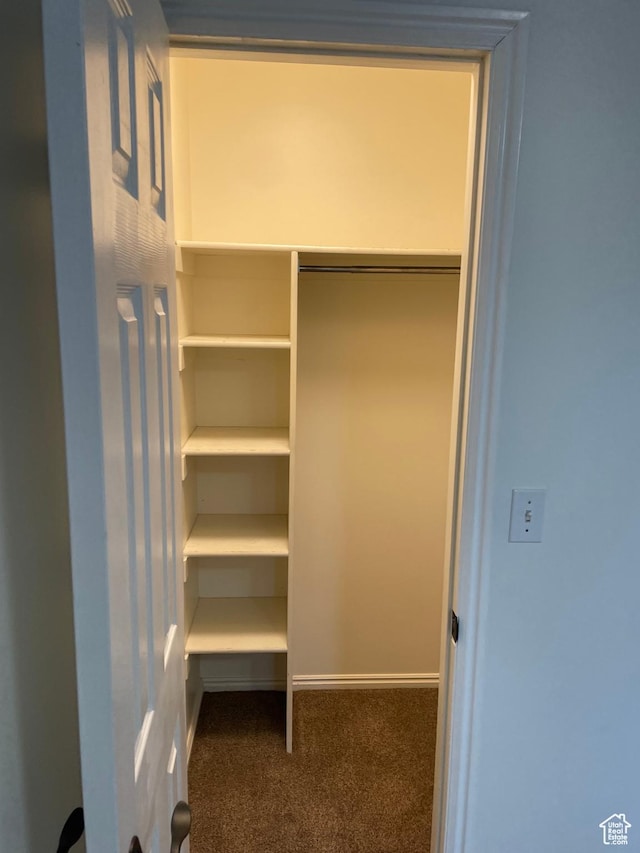 567 S Hazel Dr, Salem, UT 84653 - view of closet