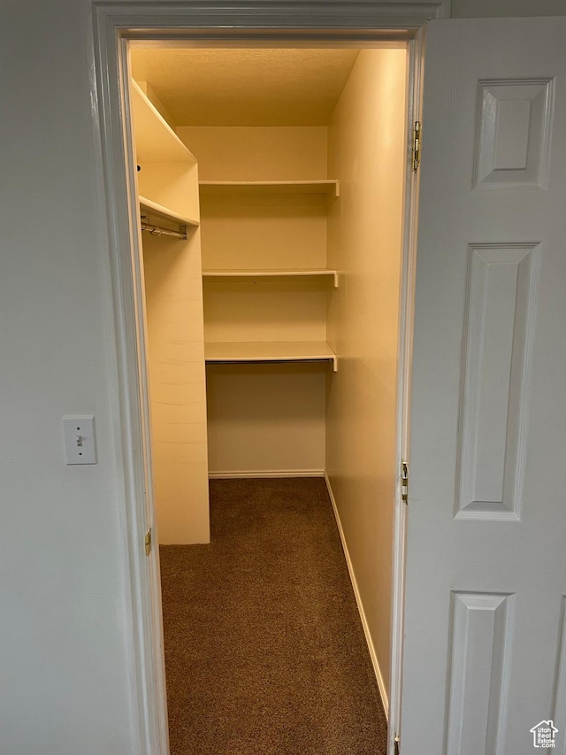 567 S Hazel Dr, Salem, UT 84653 - spacious closet featuring carpet