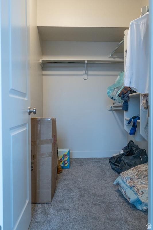 spacious closet featuring carpet floors
