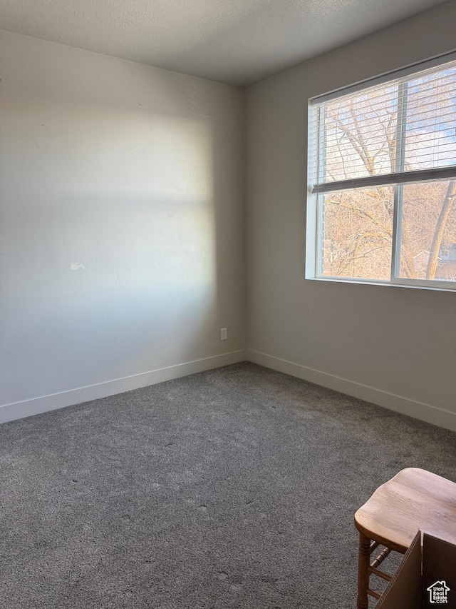 carpeted spare room featuring baseboards and a textured ceiling