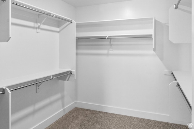 2391 W 2950 N Unit 102, Farr West, UT 84404 - spacious closet with dark colored carpet