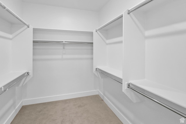 2961 N 2350 W Unit 107, Farr West, UT 84404 - spacious closet featuring light colored carpet