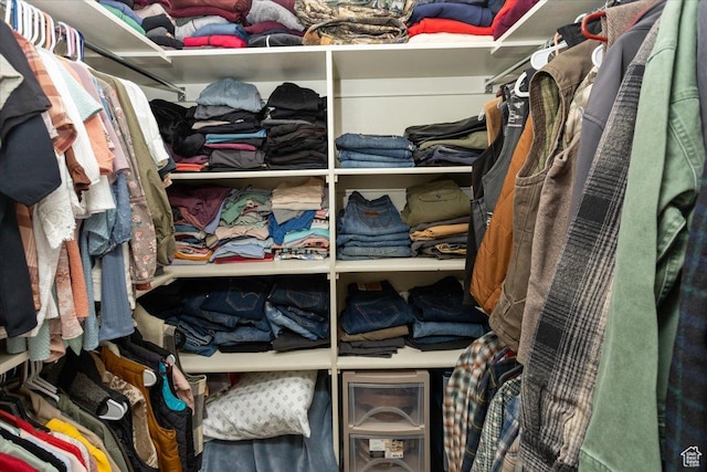 view of walk in closet