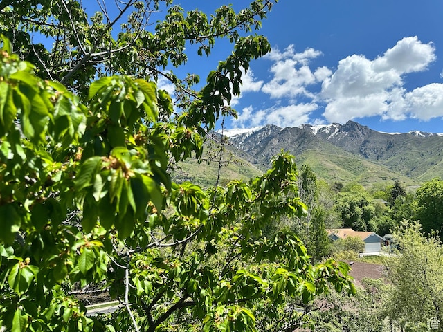 view of mountain backdrop