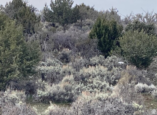 825 E 800 S, Fillmore, UT 84631