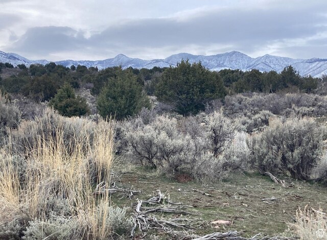 825 E 800 S, Fillmore, UT 84631