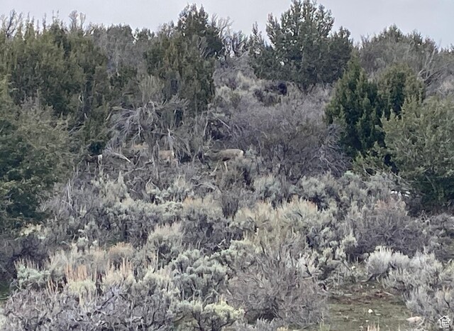825 E 800 S, Fillmore, UT 84631
