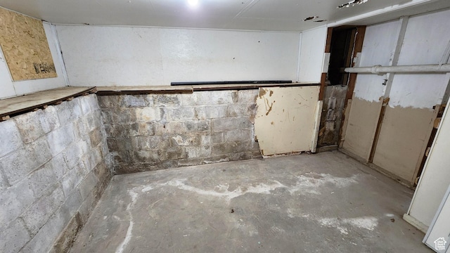 unfinished basement with concrete block wall