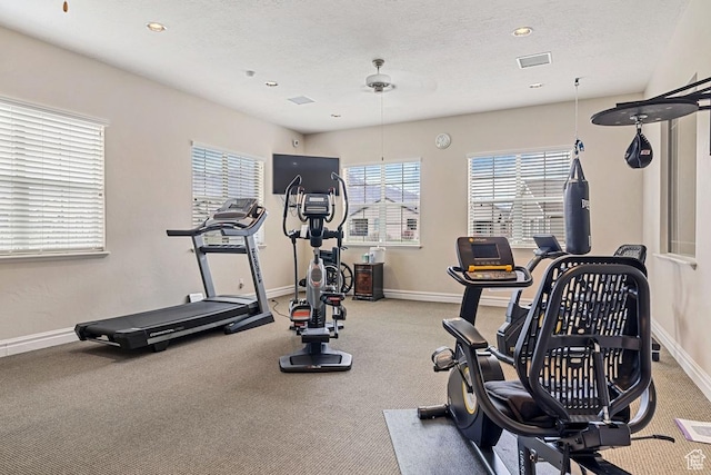 1234 S 1150 W, Payson, UT 84651 - workout room featuring carpet floors, baseboards, recessed lighting, and a textured ceiling