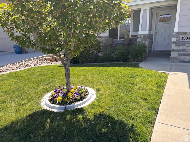 1234 S 1150 W, Payson, UT 84651 - view of green lawn