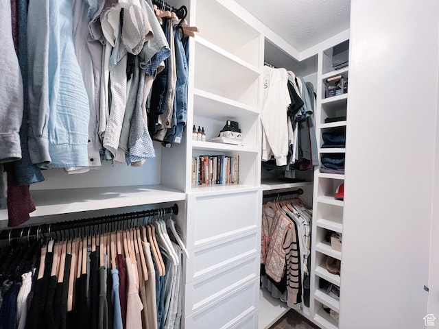 view of walk in closet