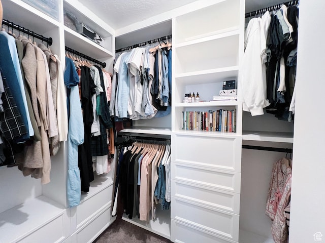 walk in closet with dark colored carpet