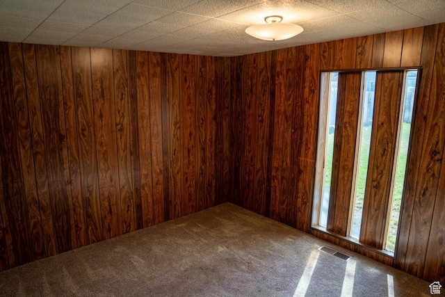 1915 W 13400 S, Riverton, UT 84065 - spare room with carpet floors and wooden walls