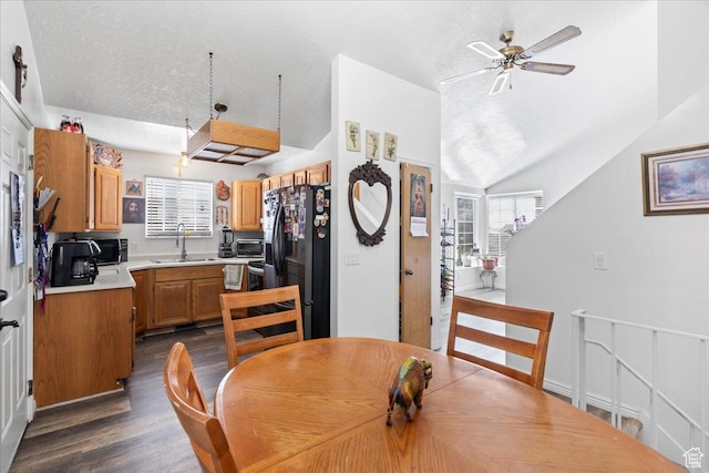 1107 E 2450 N, Layton, UT 84040 - dining space with a healthy amount of sunlight, ceiling fan, dark wood finished floors, and lofted ceiling