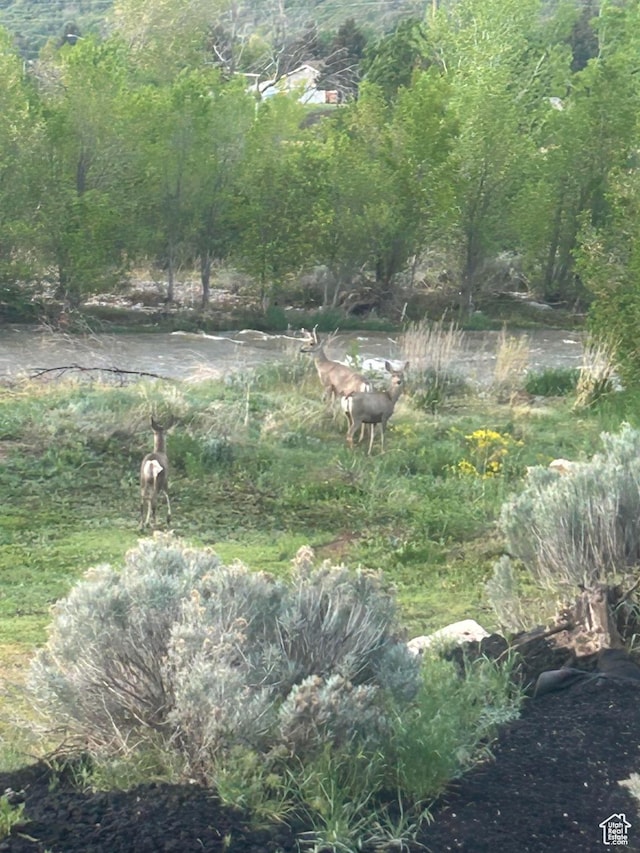 1737 E 6850 S, Uintah, UT 84405 - view of local wilderness