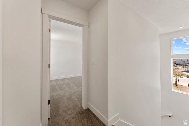 516 W Olive Ln, St George, UT 84790 - corridor with carpet floors and baseboards