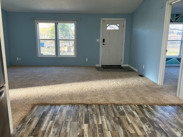 entryway featuring a healthy amount of sunlight, dark wood-style flooring, and dark colored carpet