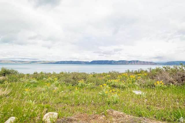 3289 S Mules Ear Cir Unit 42, Garden City, UT 84028
