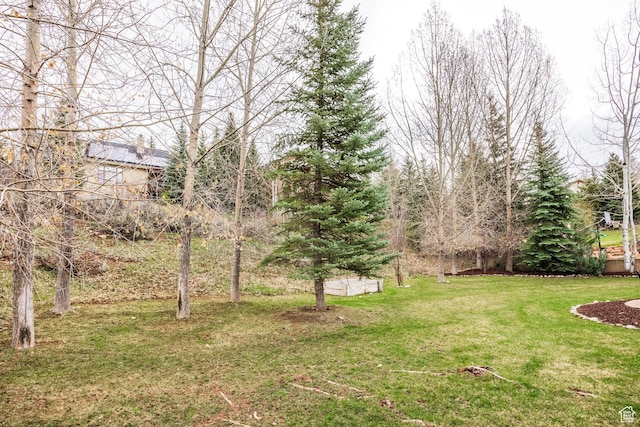 9106 N Upper Lando Ln, Park City, UT 84098 - view of green lawn
