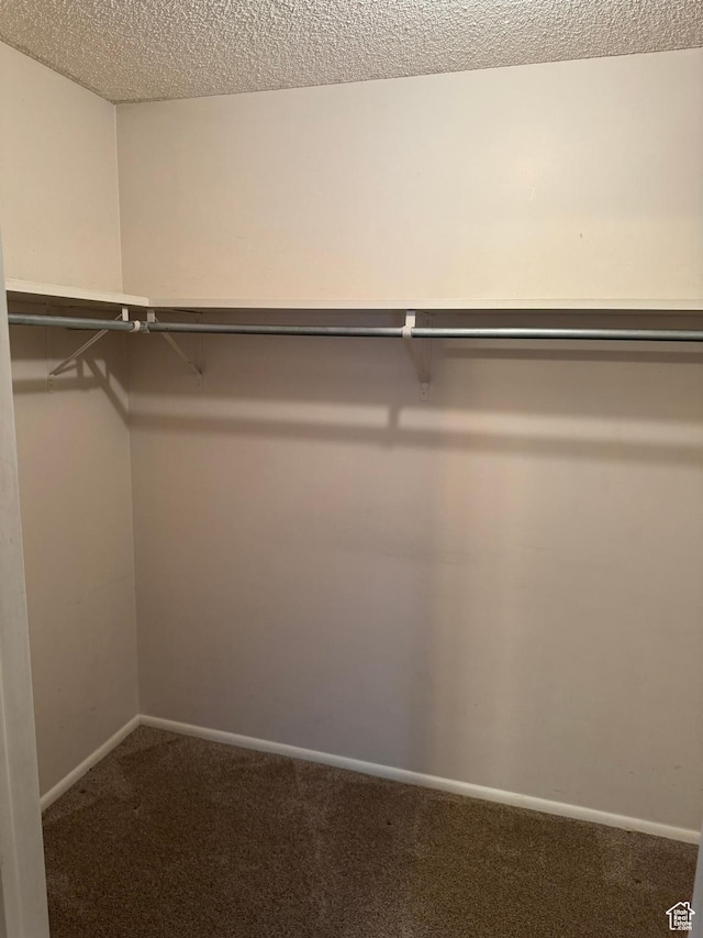 871 N Bonita Way E Unit 19, Centerville, UT 84014 - spacious closet featuring dark colored carpet