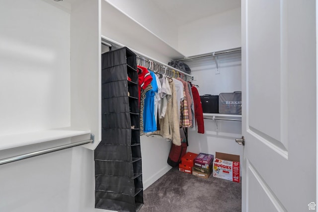 6156 W Poplar View Dr, South Jordan, UT 84009 - spacious closet featuring carpet flooring